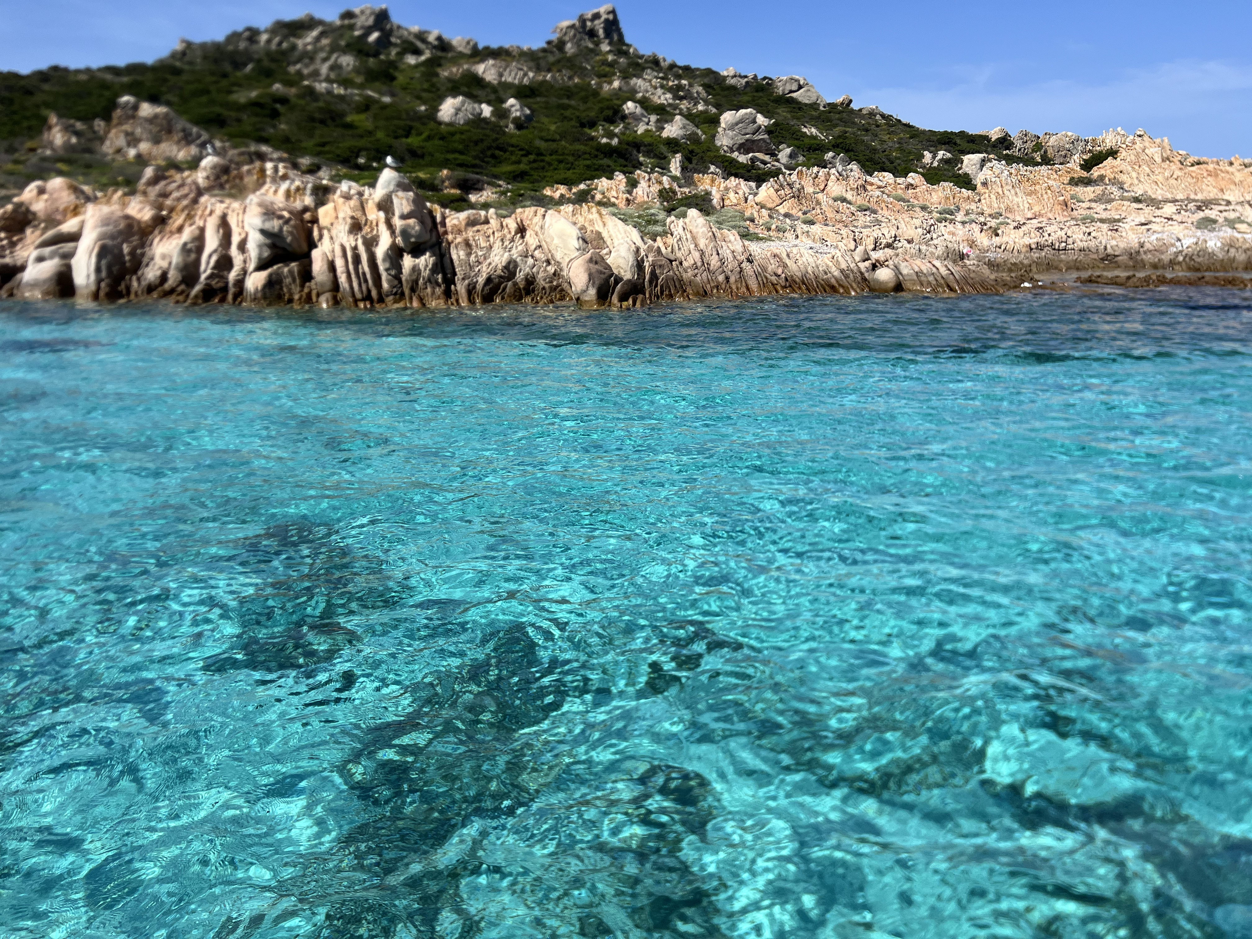 Corsica del Sud